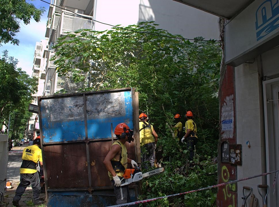 PREVENCION DENGUE